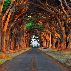 杨颖裸乳被爆❌白浆
